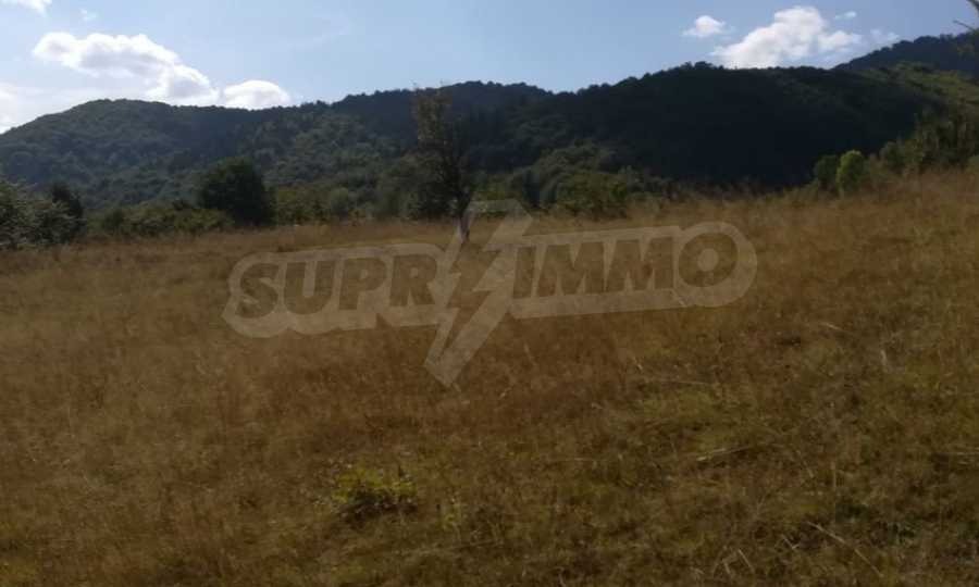 Продава ПАРЦЕЛ, с. Рибарица, област Ловеч, снимка 16 - Парцели - 53789338