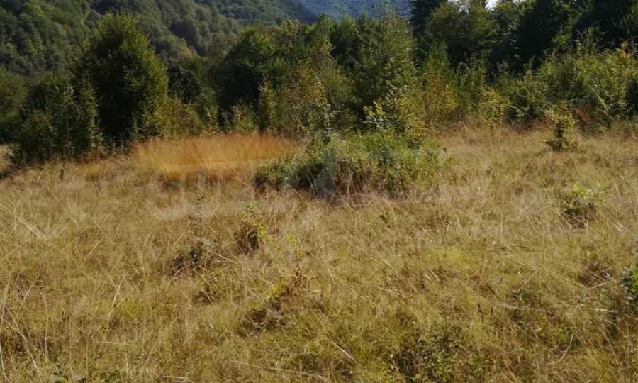 Продава ПАРЦЕЛ, с. Рибарица, област Ловеч, снимка 15 - Парцели - 53789338