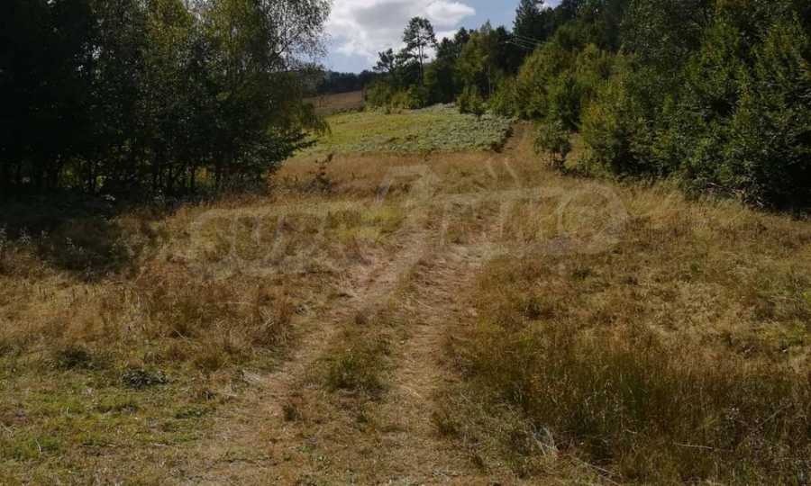 Продава ПАРЦЕЛ, с. Рибарица, област Ловеч, снимка 2 - Парцели - 53789338