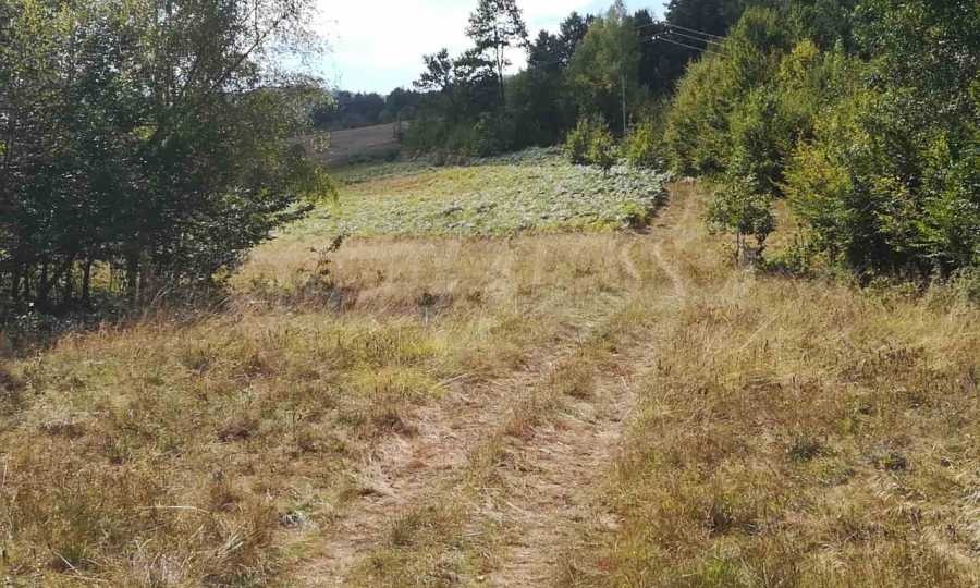 Продава ПАРЦЕЛ, с. Рибарица, област Ловеч, снимка 3 - Парцели - 53789338