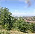 Продава ПАРЦЕЛ, с. Брестовица, област Пловдив, снимка 2