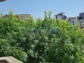 Продава 2-СТАЕН, град Варна, Колхозен пазар • 78500 € / 153532.65 лв. • 35596386 6