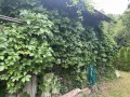 Продава КЪЩА, град Варна, м-т Боровец - юг • 79000 € • 92030512 — Holmes.bg