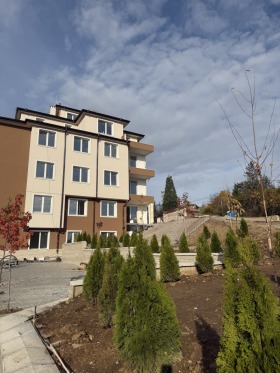 ����� ������� 3-�����,���� �����, ���� ����� 2