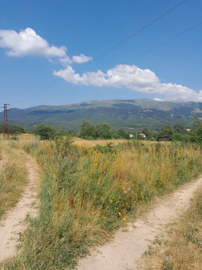 Προς πώληση  Οικόπεδο Σοφηια , Ζελεζνητσα , 2412 τ.μ | 51015196 - εικόνα [7]