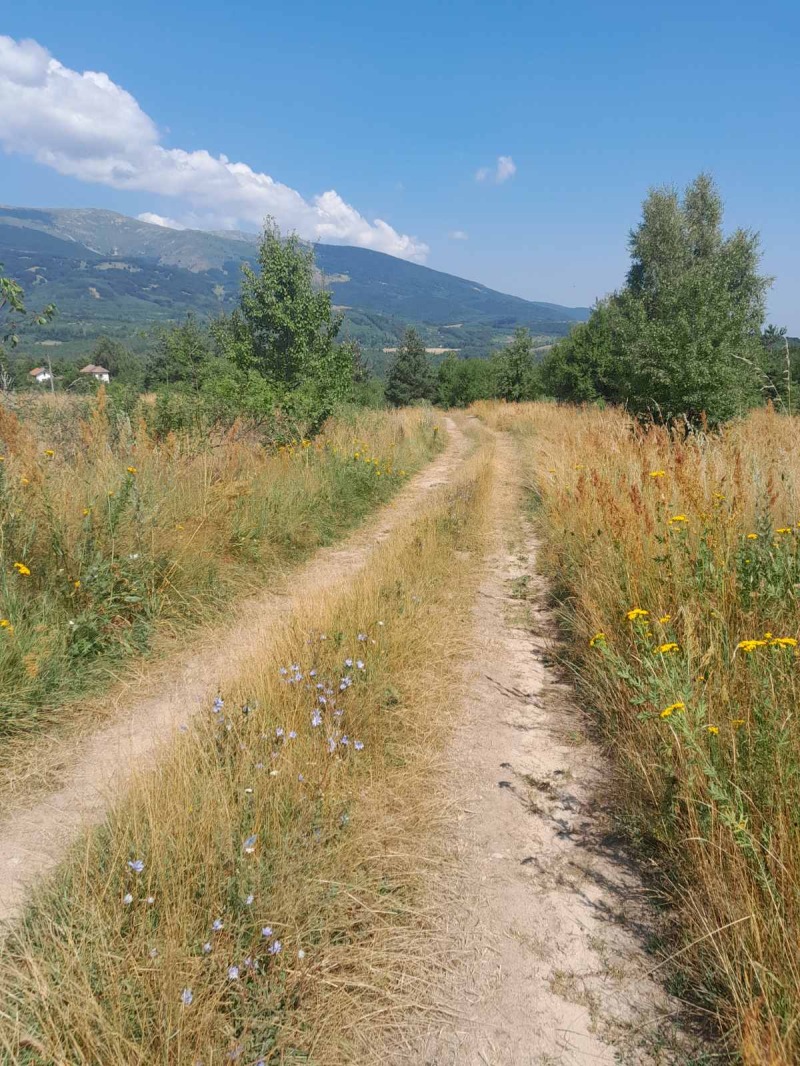 Προς πώληση  Οικόπεδο Σοφηια , Ζελεζνητσα , 2412 τ.μ | 51015196 - εικόνα [6]