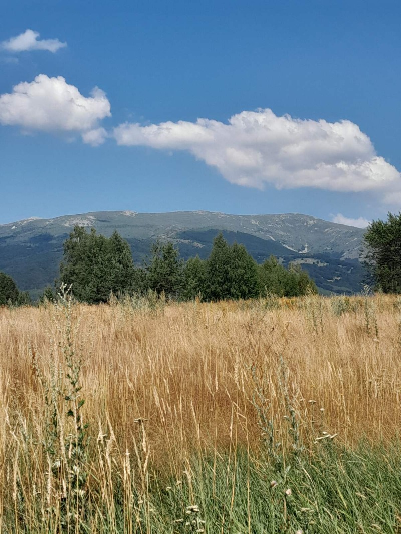 Προς πώληση  Οικόπεδο Σοφηια , Ζελεζνητσα , 2412 τ.μ | 51015196 - εικόνα [5]