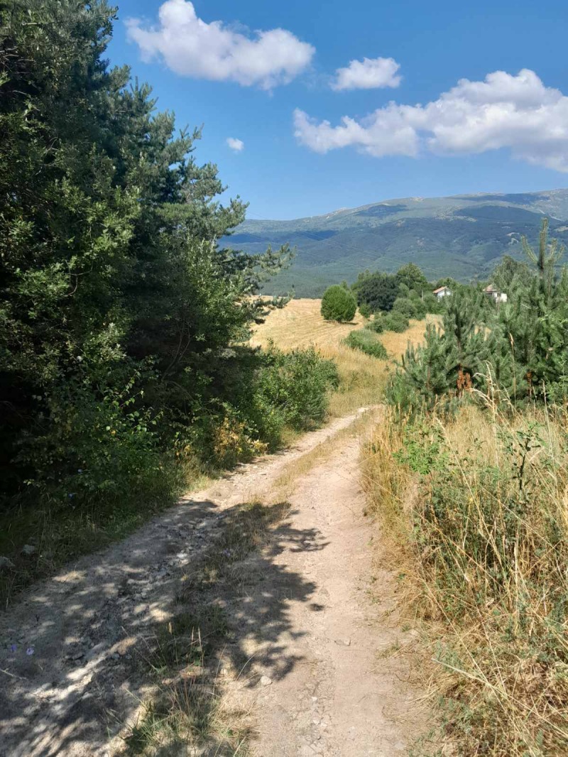 Προς πώληση  Οικόπεδο Σοφηια , Ζελεζνητσα , 2412 τ.μ | 51015196 - εικόνα [9]