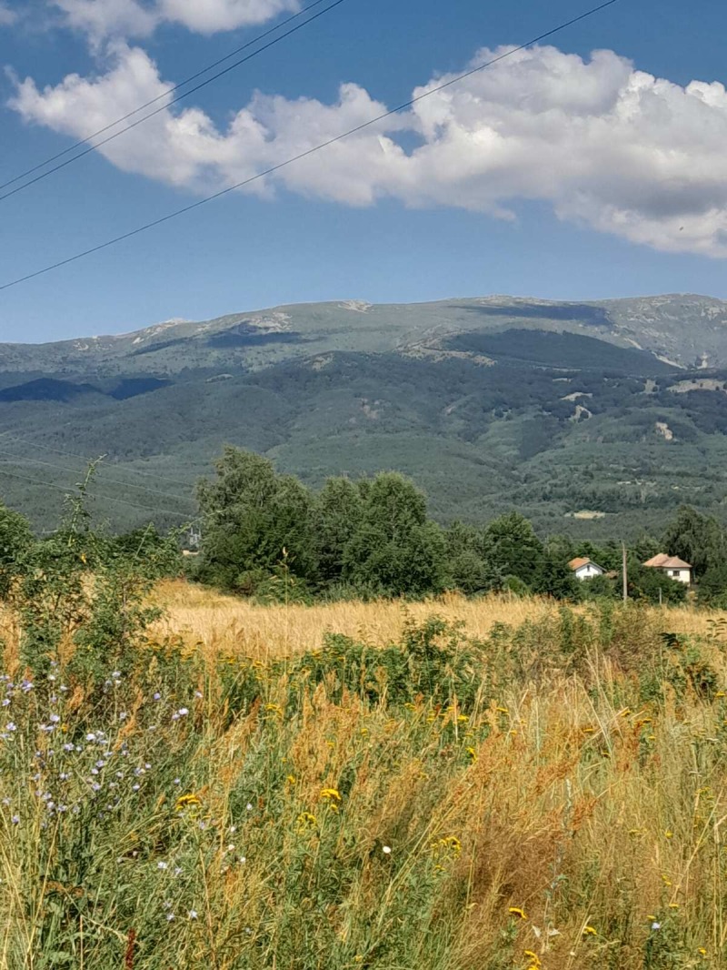 Προς πώληση  Οικόπεδο Σοφηια , Ζελεζνητσα , 2412 τ.μ | 51015196 - εικόνα [8]