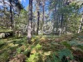 Продава  Парцел област Пловдив , хижа Здравец , 1543 кв.м | 65481981 - изображение [3]