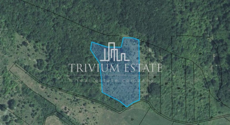 Продава ЗЕМЕДЕЛСКА ЗЕМЯ в област Бургас, с. Грозден - 9 дка / 9 101 € » 17 800.01 лв., ТРИВИУМ ЕСТЕЙТ