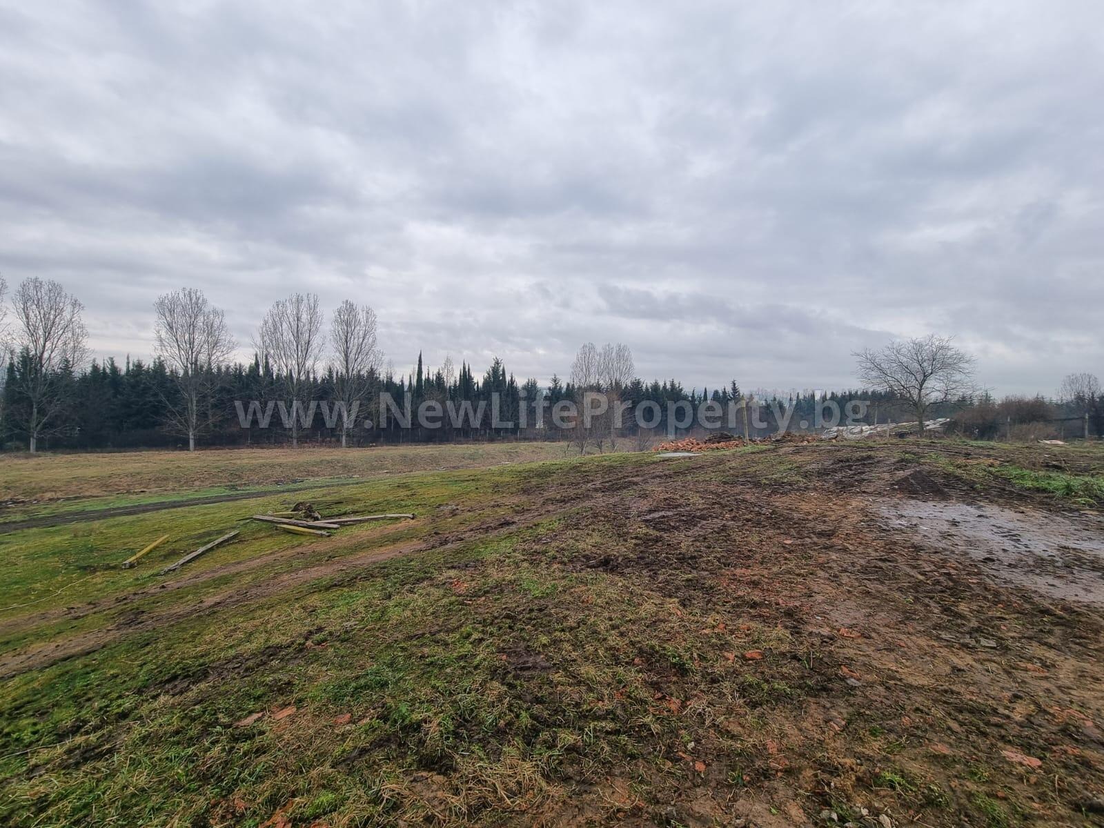 ������� ���������� ���� | Imot.bg � ����������� 5