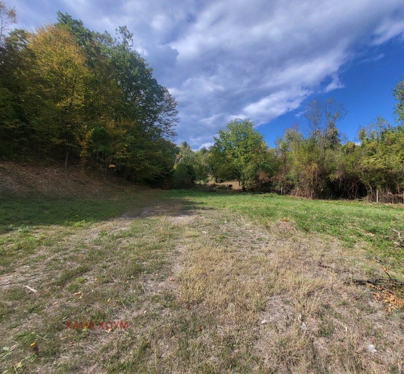Продава  Къща област Ловеч , с. Терзийско , 508 кв.м | 31313213 - изображение [8]