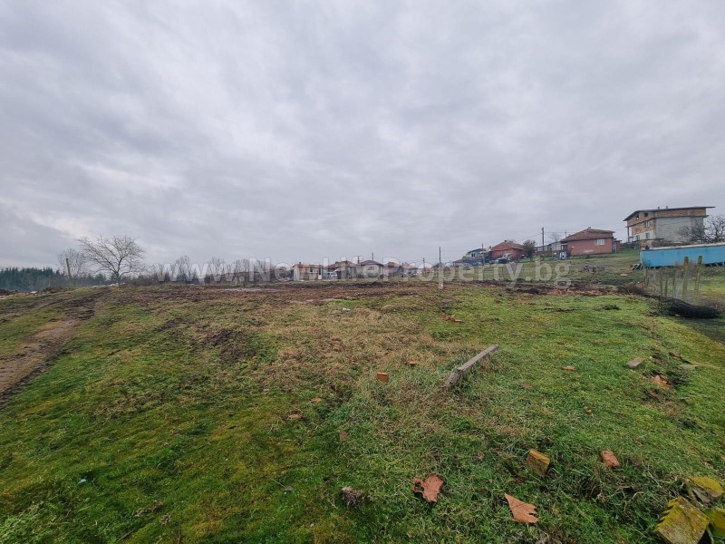 Продава ЗЕМЕДЕЛСКА ЗЕМЯ, с. Тънково, област Бургас, снимка 2 - Земеделска земя - 53201692