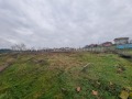 Продава ЗЕМЕДЕЛСКА ЗЕМЯ, с. Тънково, област Бургас, снимка 2