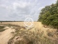 Продава ПАРЦЕЛ, град Пловдив, Прослав • 55000 € • 26448847 — Holmes.bg