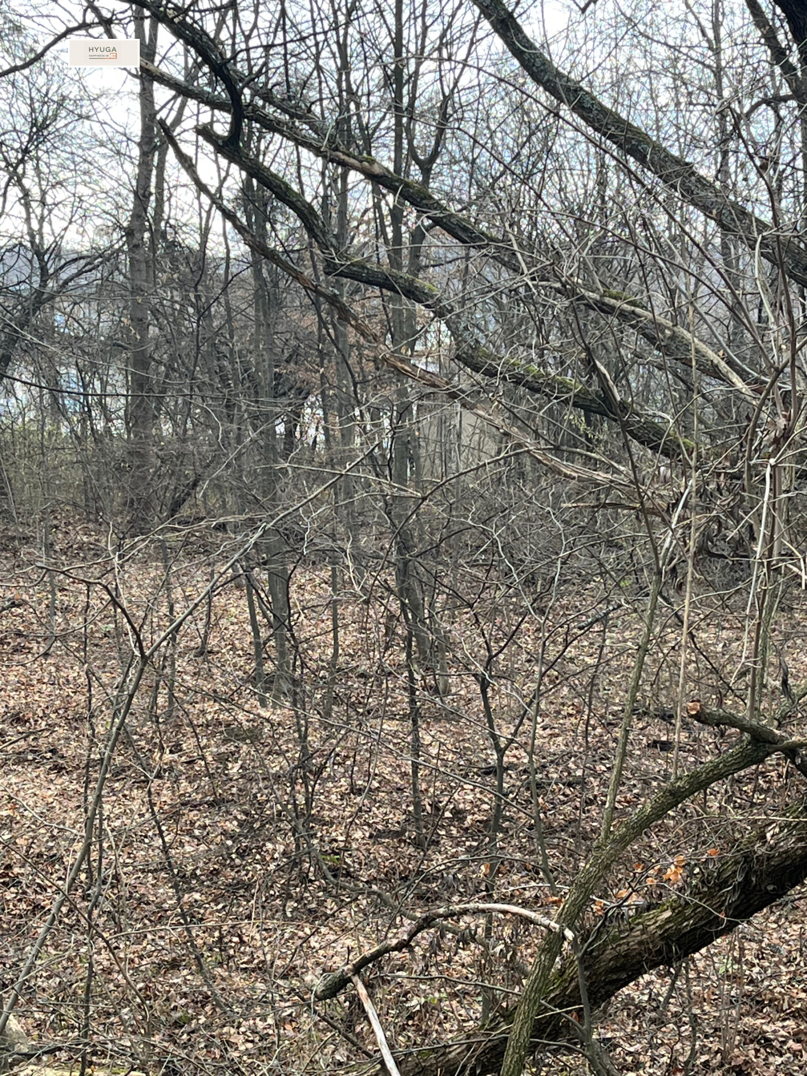 ������� ������ | Imot.bg � ����������� 4