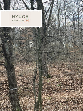 ����� ������� ������,���� �����, ����� ����