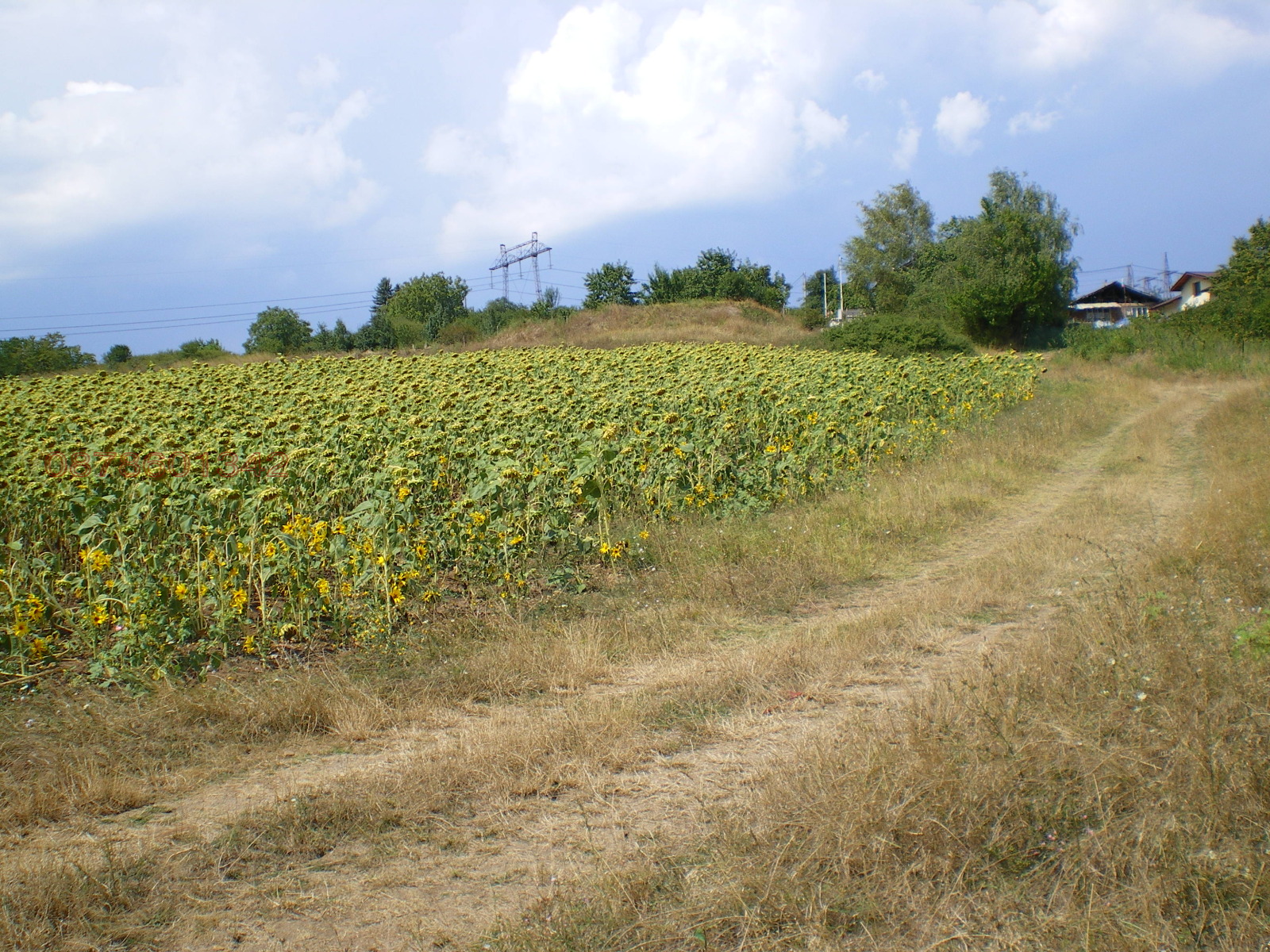 Продава ПАРЦЕЛ, гр. София, гр. Нови Искър, снимка 4 - Парцели - 54036202