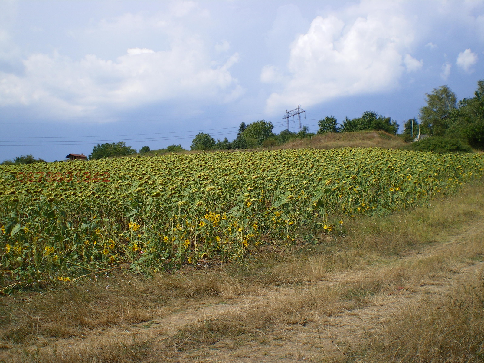 Продава ПАРЦЕЛ, гр. София, гр. Нови Искър, снимка 6 - Парцели - 54036202