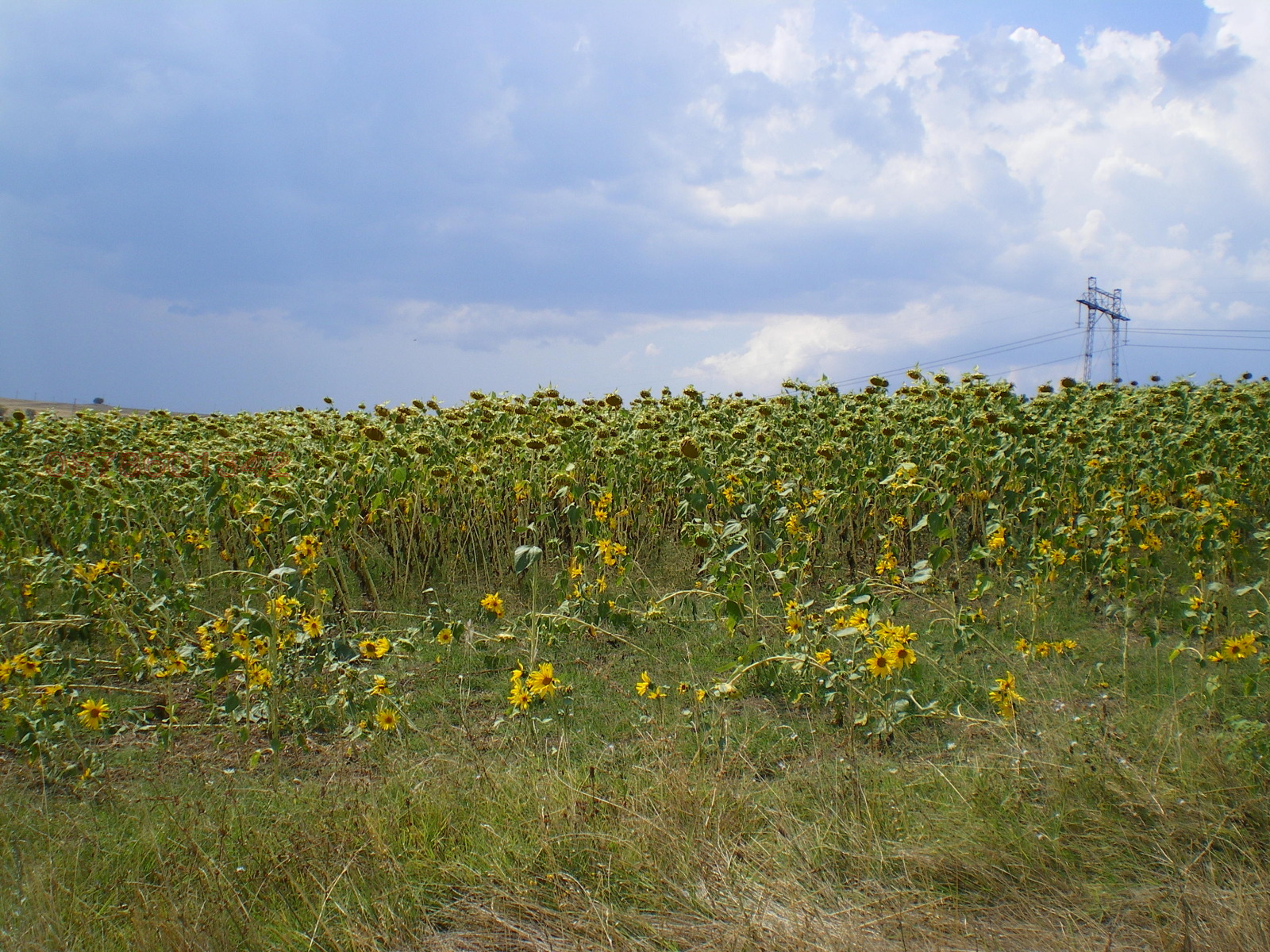 Продава ПАРЦЕЛ, гр. София, гр. Нови Искър, снимка 10 - Парцели - 54036202