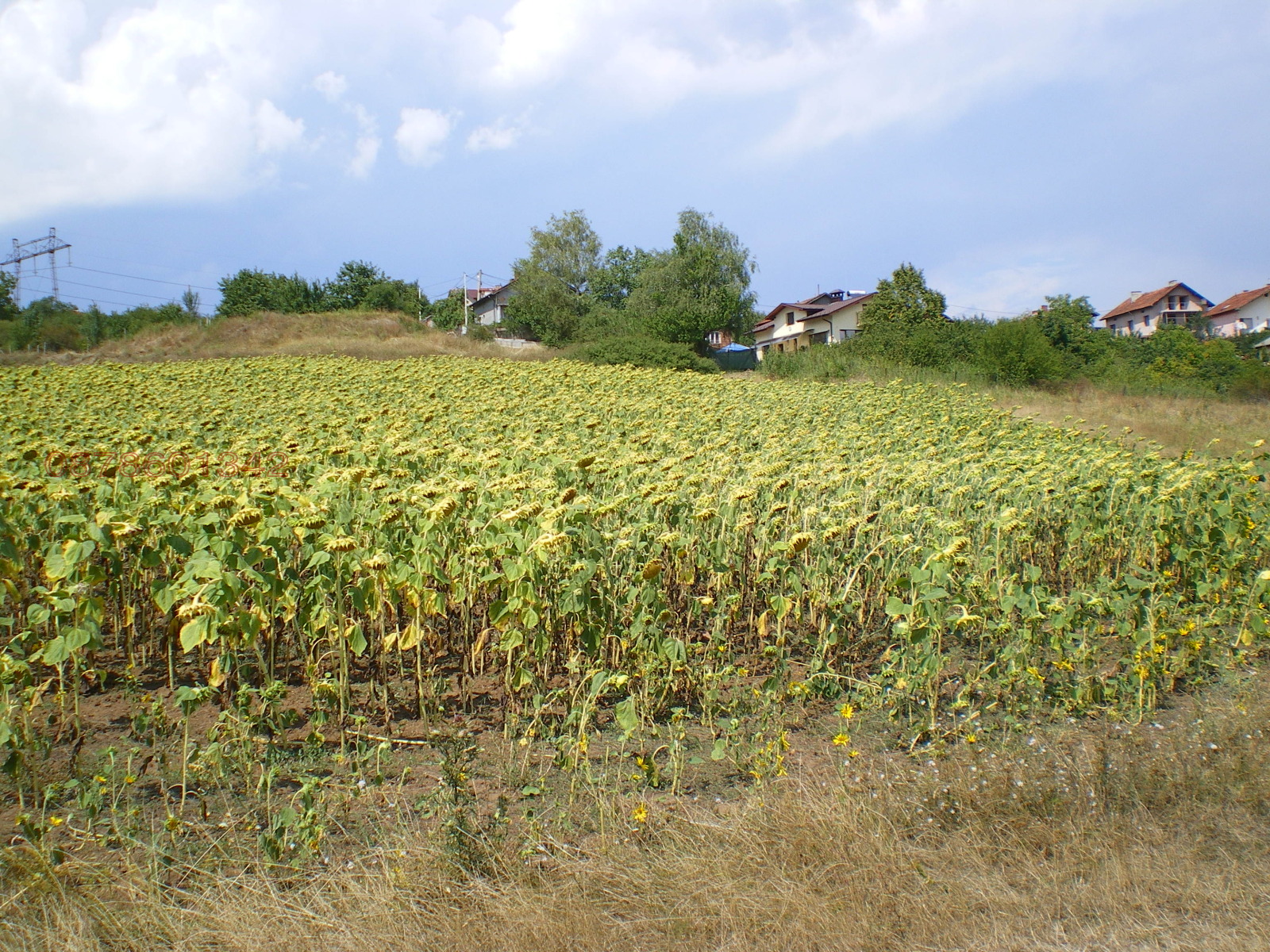 Продава ПАРЦЕЛ, гр. София, гр. Нови Искър, снимка 15 - Парцели - 54036202