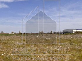 ����� ������� ������,���� �������, �������