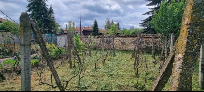 На продаж  Будинок область Разград , Топчии , 59 кв.м | 60008817 - зображення [11]