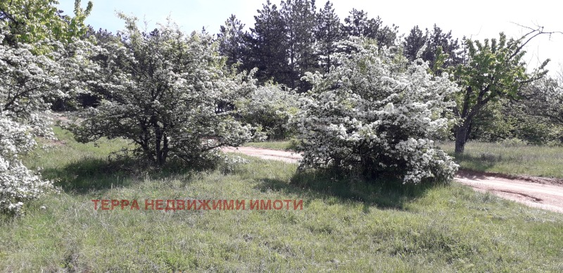Till salu  Komplott Sofia , Podgumer , 606 kvm | 27915560