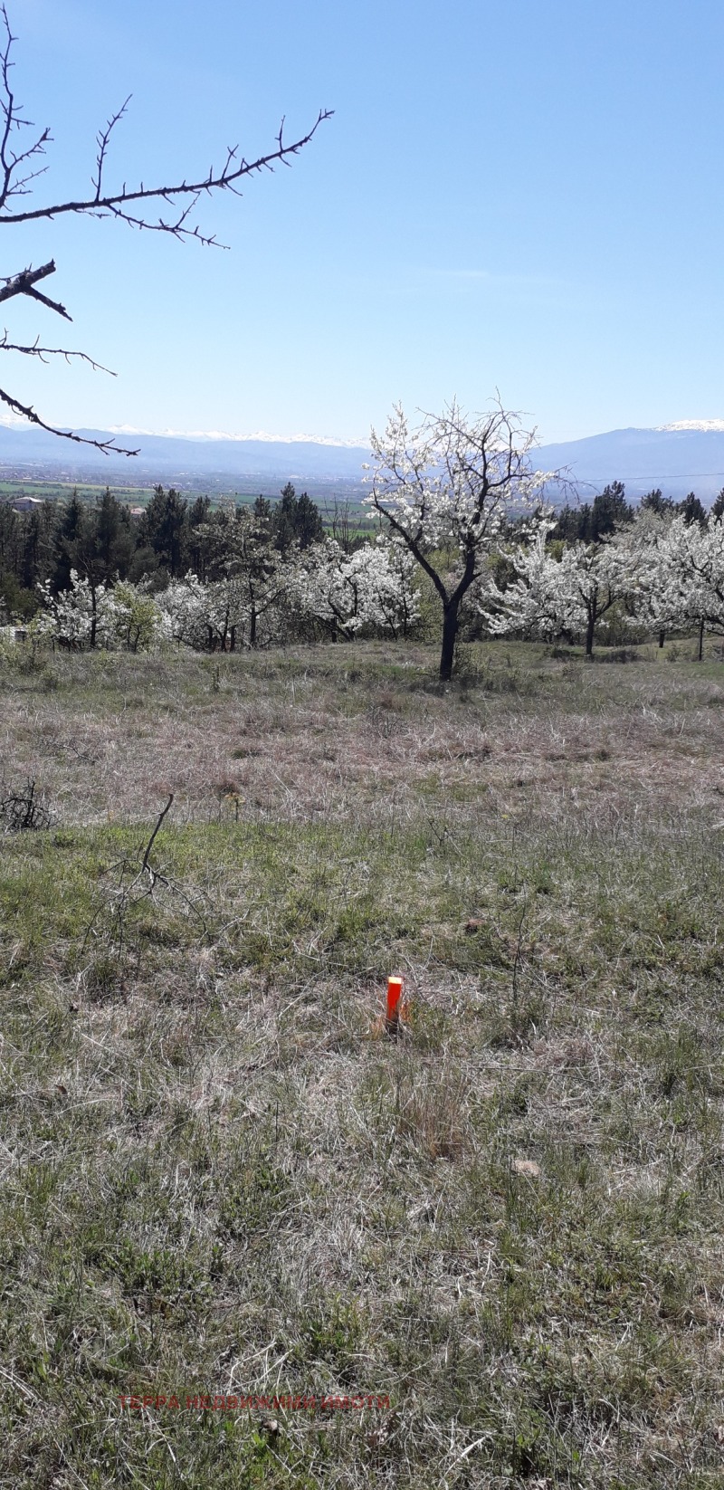 Till salu  Komplott Sofia , Podgumer , 606 kvm | 27915560 - bild [3]