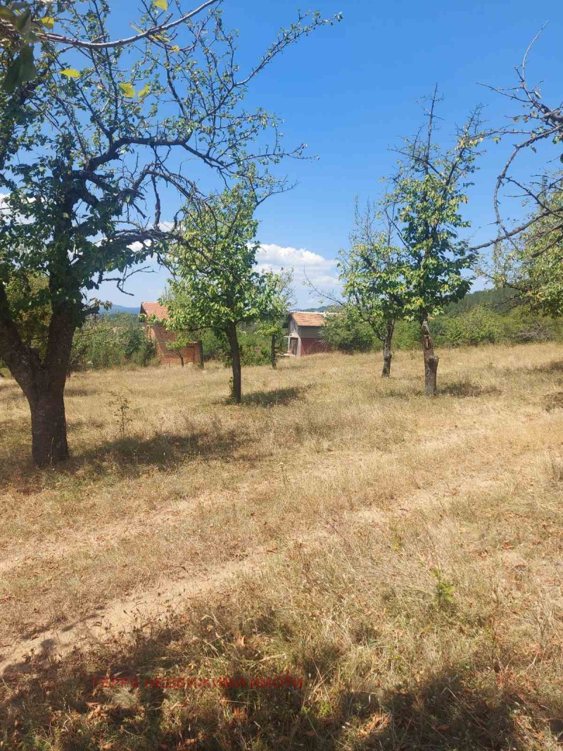 Till salu  Komplott Sofia , Podgumer , 606 kvm | 27915560 - bild [10]