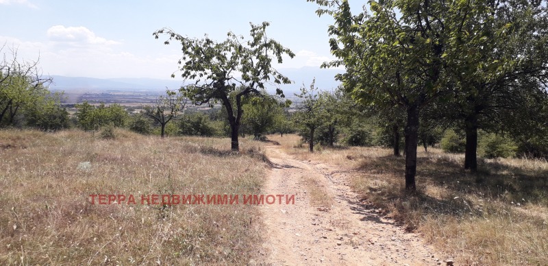 Till salu  Komplott Sofia , Podgumer , 606 kvm | 27915560 - bild [6]