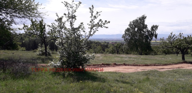 Till salu  Komplott Sofia , Podgumer , 606 kvm | 27915560 - bild [2]