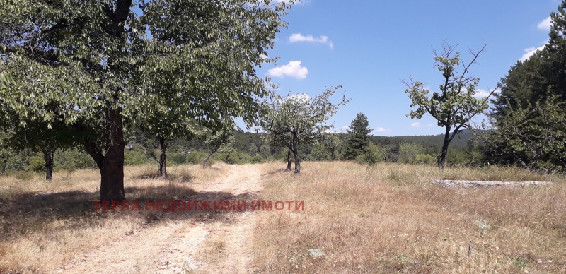 Till salu  Komplott Sofia , Podgumer , 606 kvm | 27915560 - bild [7]
