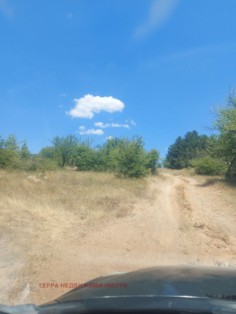 Till salu  Komplott Sofia , Podgumer , 606 kvm | 27915560 - bild [9]