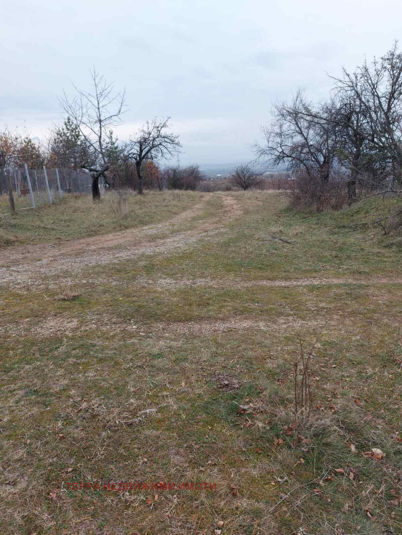 Eladó  Cselekmény Sofia , Podgumer , 606 négyzetméter | 27915560 - kép [10]