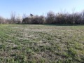 Продава ПАРЦЕЛ, с. Павел, област Велико Търново, снимка 4