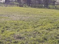 Продава ПАРЦЕЛ, с. Павел, област Велико Търново, снимка 5