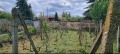 Продава КЪЩА, област Разград, с. Топчии • 55000 лв. • 70866993 — Holmes.bg