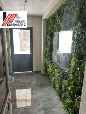 ����� ������� 3-�����,���� ��������, �����������