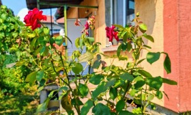 ������� ���� | Imot.bg � ����� ������ 5