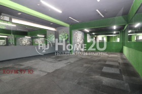 ����� ������� �������,���� �����, ������