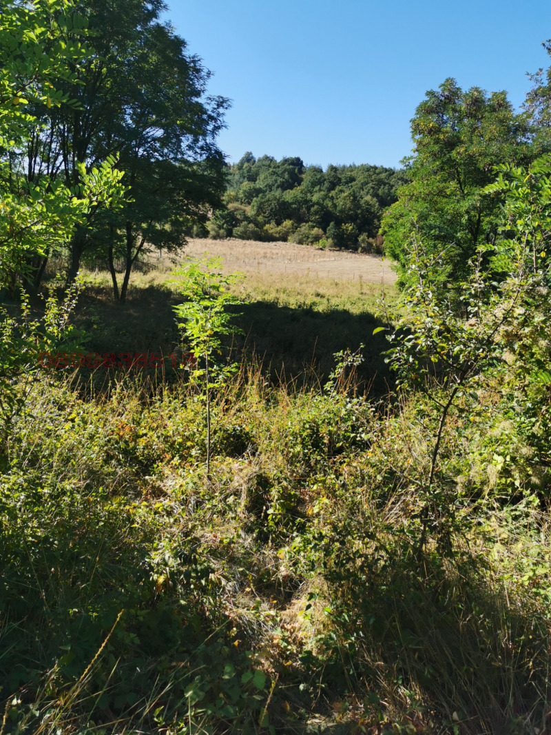 Продава ПАРЦЕЛ, с. Радибош, област Перник, снимка 2 - Парцели - 52784709