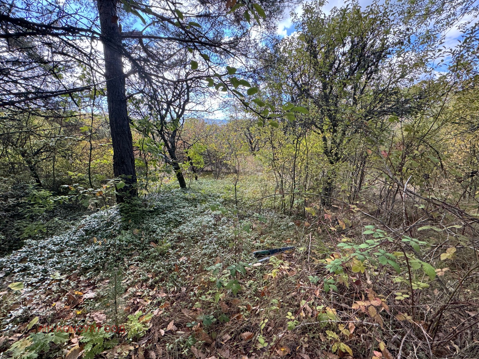 Продава ПАРЦЕЛ, с. Крушовица, област София област, снимка 4 - Парцели - 54539561
