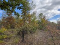 Продава ПАРЦЕЛ, с. Крушовица, област София област, снимка 9