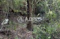 Продава ПАРЦЕЛ, област София, с. Долно Камарци • 24000 € • 69884136 — Holmes.bg