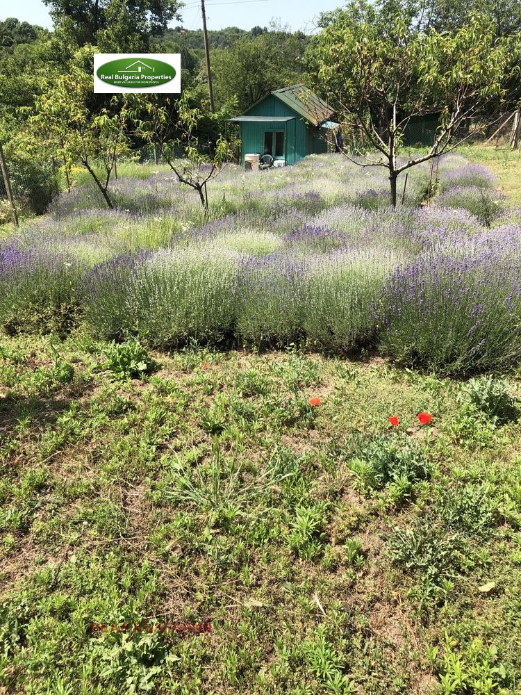 ������� ���� | Imot.bg � ����������� 3