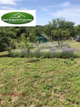 ������� ���� | Imot.bg � ����� ������ 2