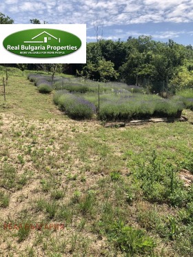 ������� ���� | Imot.bg � ����� ������ 4