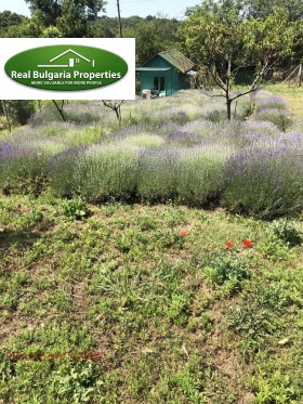 ������� ���� | Imot.bg � ����� ������ 3